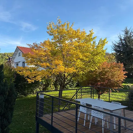 L'aurore Des Volcans *